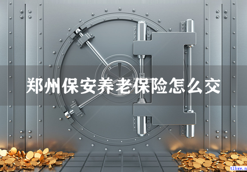 郑州保安养老保险怎么交