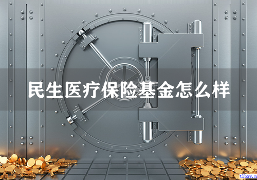 民生医疗保险基金怎么样