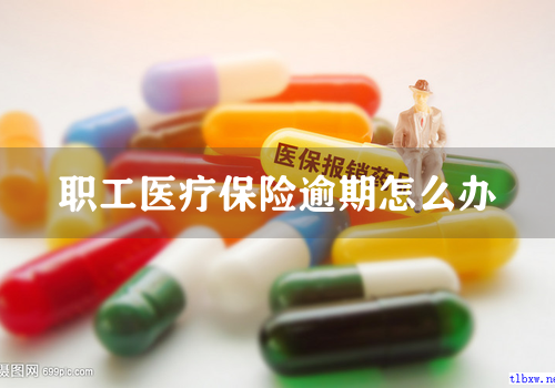 职工医疗保险逾期怎么办