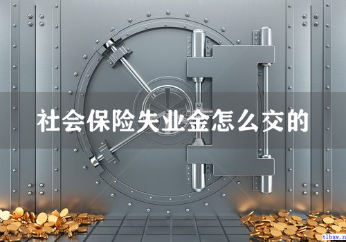 社会保险失业金怎么交的