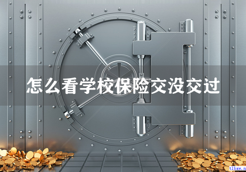 怎么看学校保险交没交过