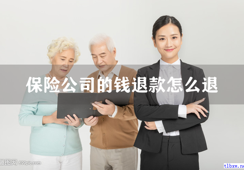 保险公司的钱退款怎么退