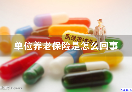 单位养老保险是怎么回事