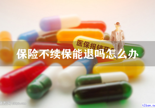 保险不续保能退吗怎么办