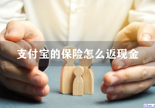 支付宝的保险怎么返现金