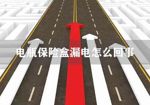 电瓶保险盒漏电怎么回事