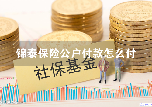 锦泰保险公户付款怎么付