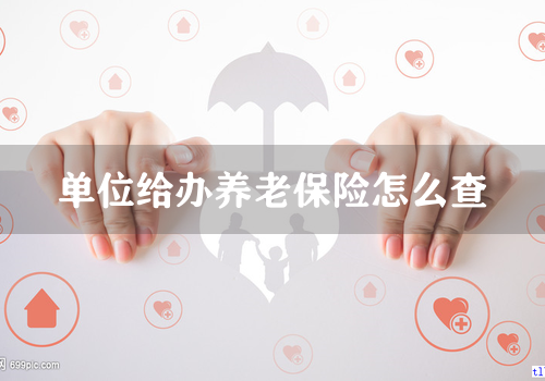 单位给办养老保险怎么查