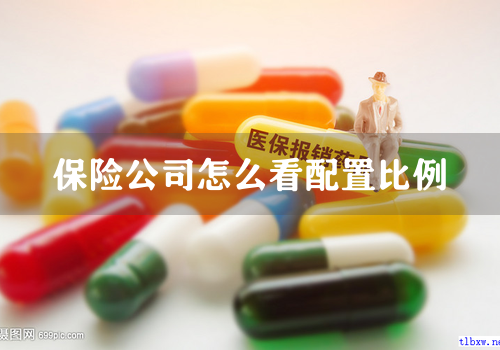 保险公司怎么看配置比例