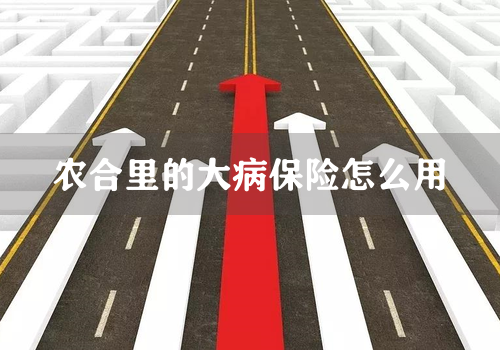 农合里的大病保险怎么用