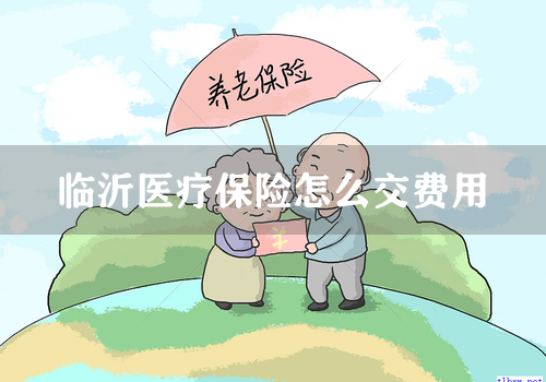 临沂医疗保险怎么交费用
