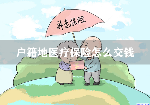 户籍地医疗保险怎么交钱