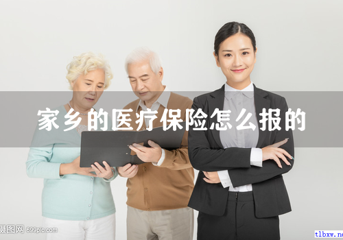 家乡的医疗保险怎么报的