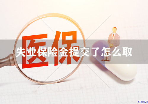 失业保险金提交了怎么取
