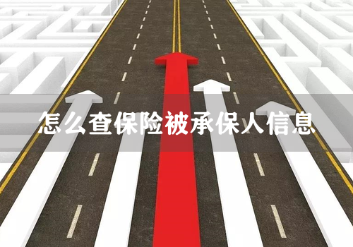 怎么查保险被承保人信息