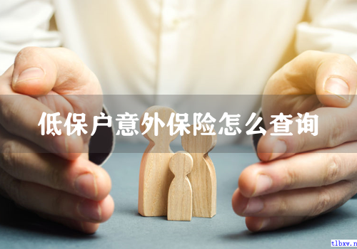 低保户意外保险怎么查询