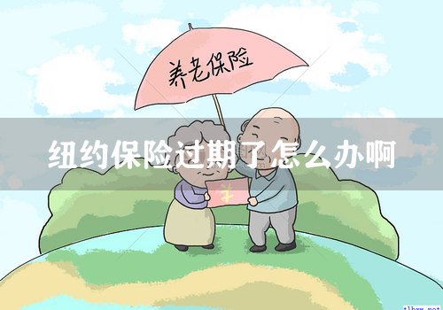 纽约保险过期了怎么办啊