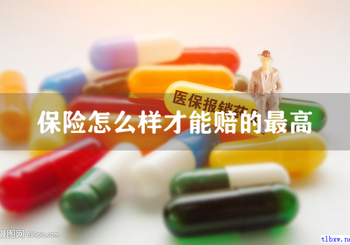 保险怎么样才能赔的最高