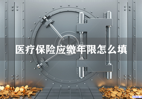 医疗保险应缴年限怎么填