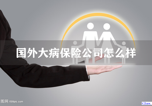 国外大病保险公司怎么样