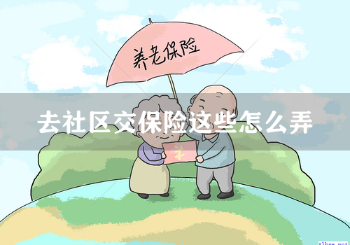 去社区交保险这些怎么弄