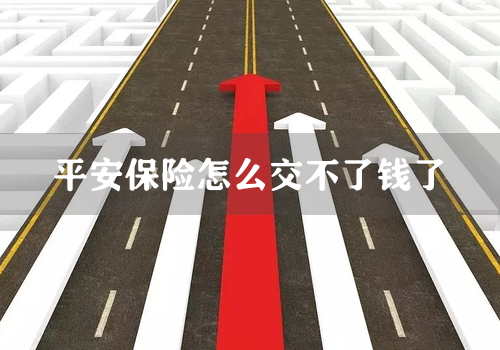 平安保险怎么交不了钱了