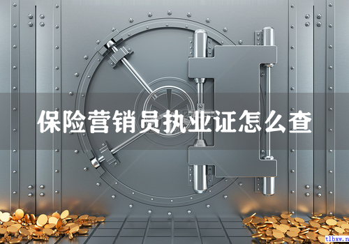 保险营销员执业证怎么查
