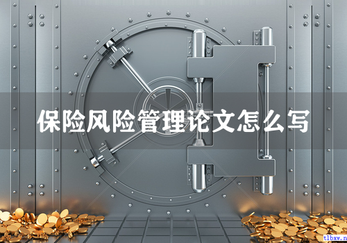 保险风险管理论文怎么写