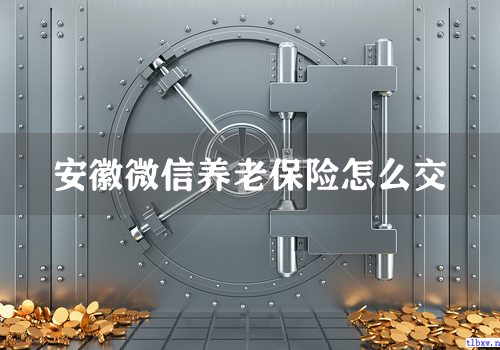 安徽微信养老保险怎么交