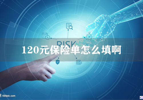 120元保险单怎么填啊