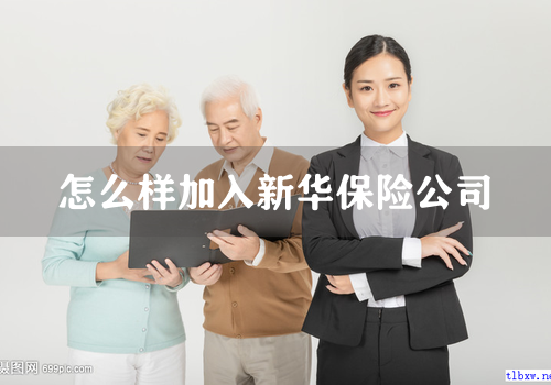怎么样加入新华保险公司