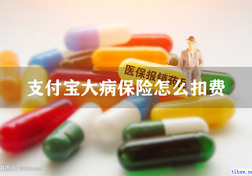 支付宝大病保险怎么扣费