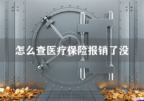 怎么查医疗保险报销了没