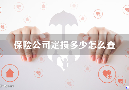 保险公司定损多少怎么查