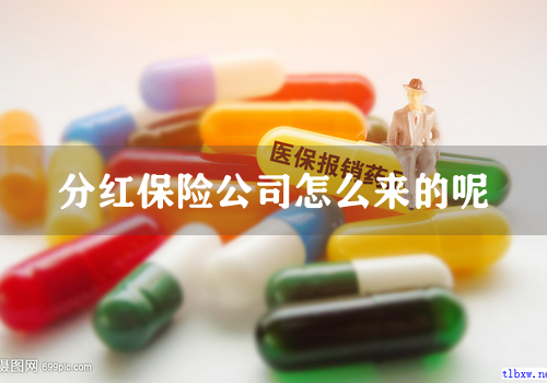 分红保险公司怎么来的呢