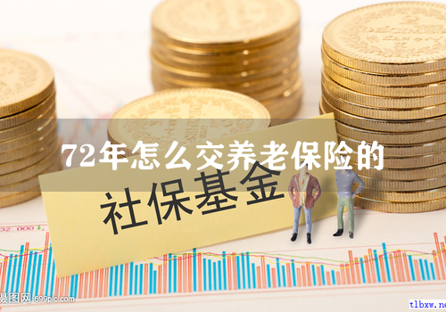 72年怎么交养老保险的