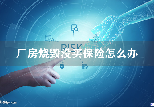 厂房烧毁没买保险怎么办