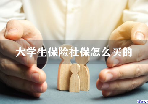 大学生保险社保怎么买的