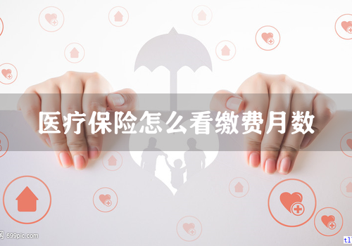 医疗保险怎么看缴费月数
