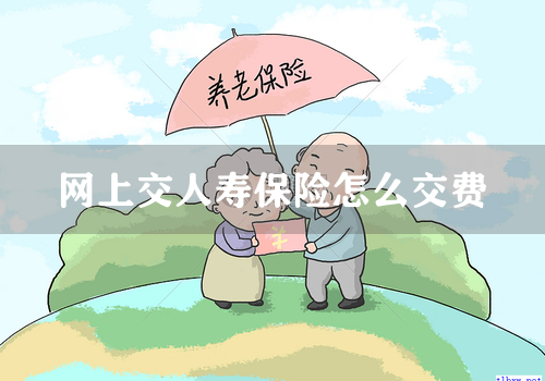 网上交人寿保险怎么交费