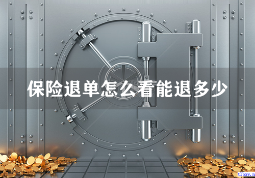 保险退单怎么看能退多少