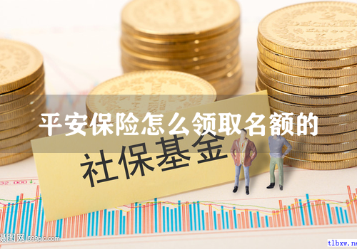 平安保险怎么领取名额的