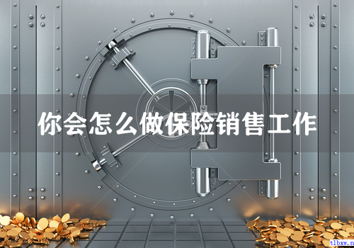 你会怎么做保险销售工作