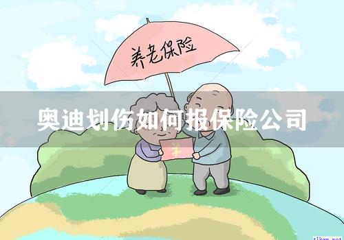 奥迪划伤如何报保险公司