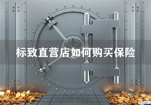 标致直营店如何购买保险