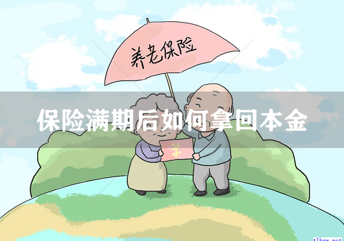 保险满期后如何拿回本金