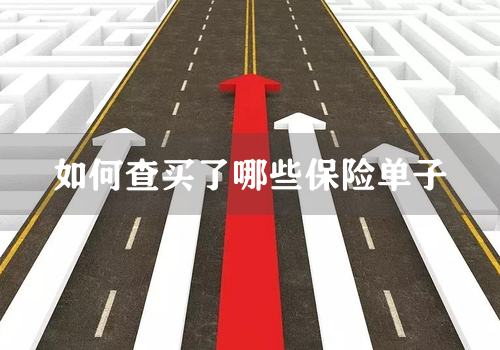 如何查买了哪些保险单子