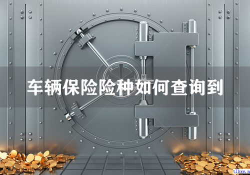 车辆保险险种如何查询到