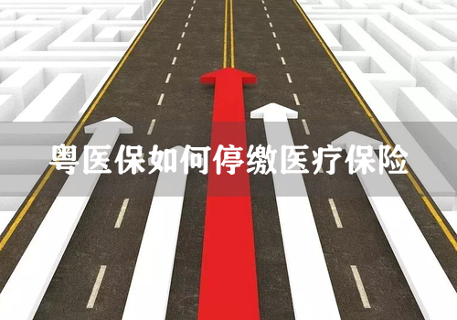 粤医保如何停缴医疗保险