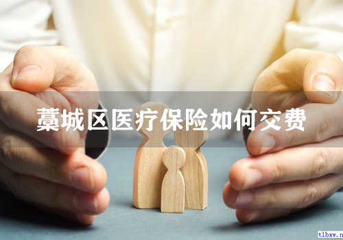 藁城区医疗保险如何交费